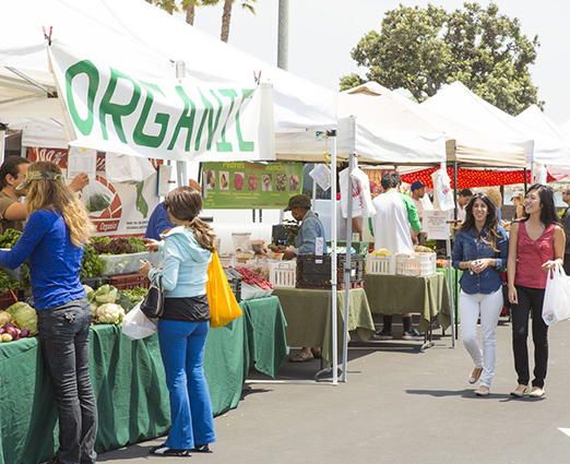 Saturday Farmers Market